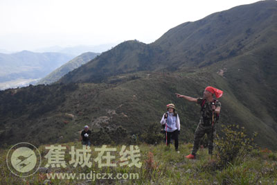 穿越宁德第一旗山 看十里杜鹃_影像_宁德蕉