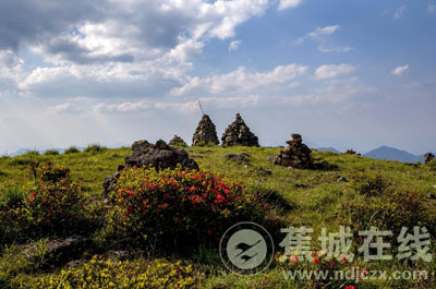穿越宁德第一旗山 看十里杜鹃_影像_宁德蕉