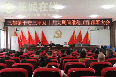 三都镇召开平安三率工作部署会议_三都镇_宁