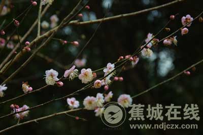 燕什么欢成语_成语故事图片(3)