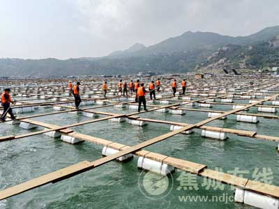 颖上县有多少人口_安徽颖上县张家旺照片