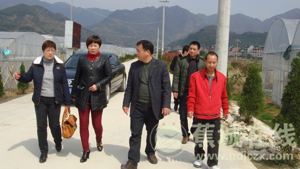 赤溪镇计生协会秘书长彭进团先进事迹