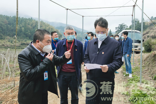 郭锡文赴蕉城区调研企业复工复产和春耕备耕情况_蕉城要闻_宁德蕉城