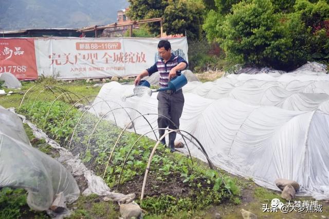 大梦视频 | 金涵抢抓农时提产能，春耕备耕忙起来