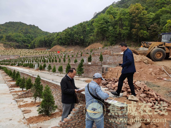 区林业局睁开公益性义冢整治动做