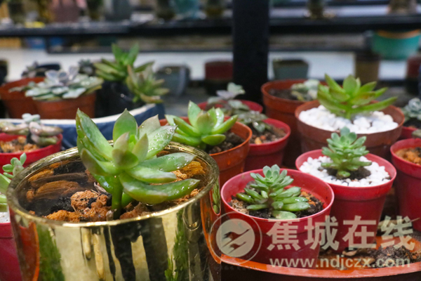 GC11：《水把之光2》海量截圖賞析 新職業新輿圖