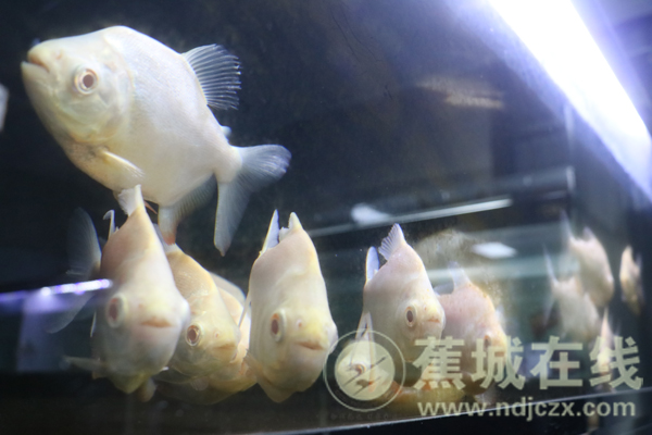 時尚服裝冬至文案圖片（時尚服裝冬至文案圖片高清）