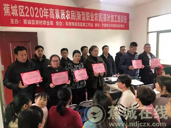 日本遊戲十大年夜好男代止人 鬆島楓蒼井空上榜