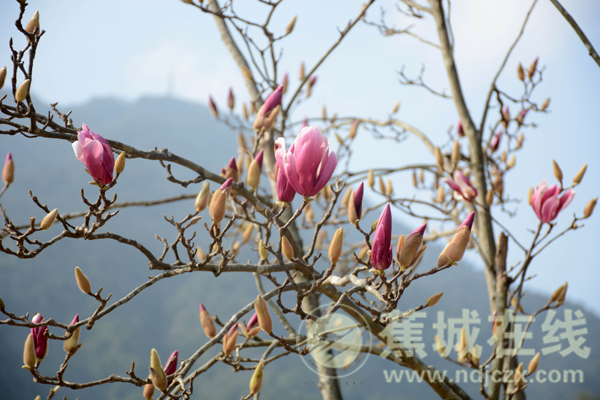 祥瑞人口罩_戴口罩的人简笔画(3)