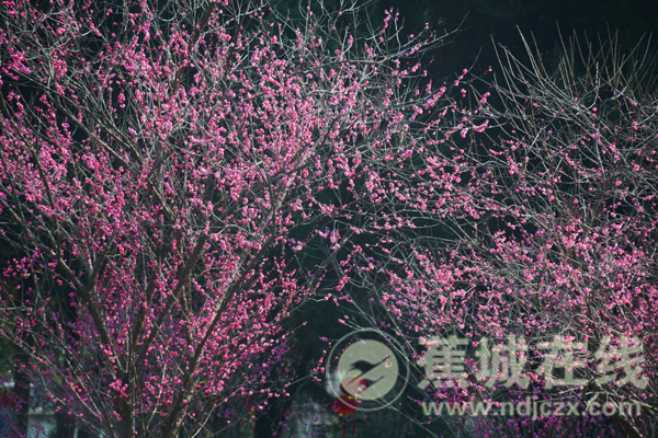 祥瑞人口罩_戴口罩的人简笔画(3)