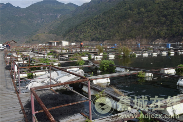 扎兰屯务打哈气有多少人口_扎兰屯车务段调车组(3)