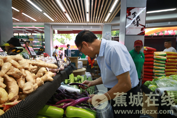 去自DragonCon展的《無冬之夜2》最新動靜