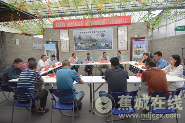 國產單配角冒險遊戲《夢燈花》本月28日出售