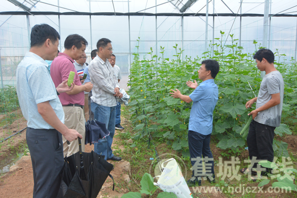 獵奇的時尚服裝圖片（獵奇的時尚服裝圖片）