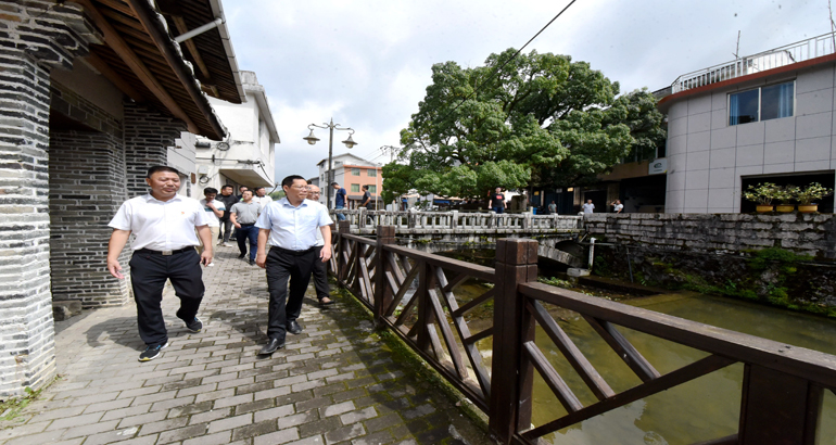 区领导赴洋中镇天湖村调研指导村“两委”换届工作