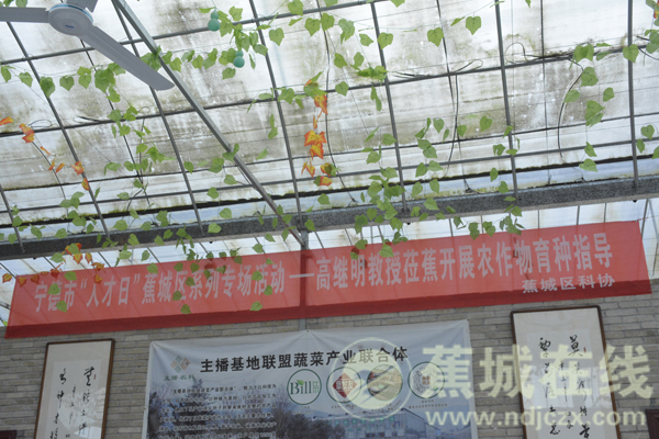 马嘉祺《什么是快乐星球》完整版歌词 《什么是快乐星球》谁唱的
