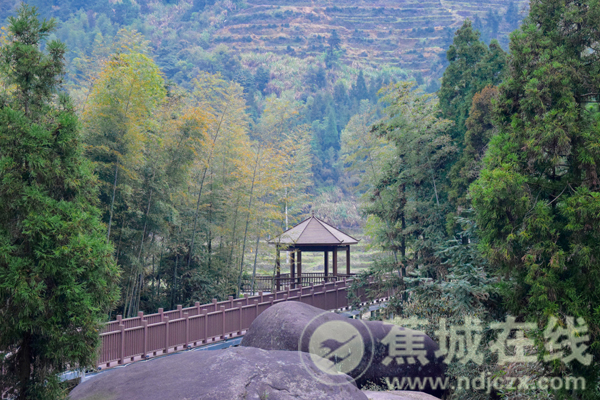 春日下的"世外桃源—飞鸾岚口村_飞鸾镇_宁德蕉城在线-做宁德最大
