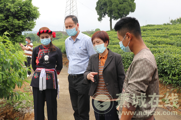 茶旅融合赋能高质量发展 区政协开展专题调研