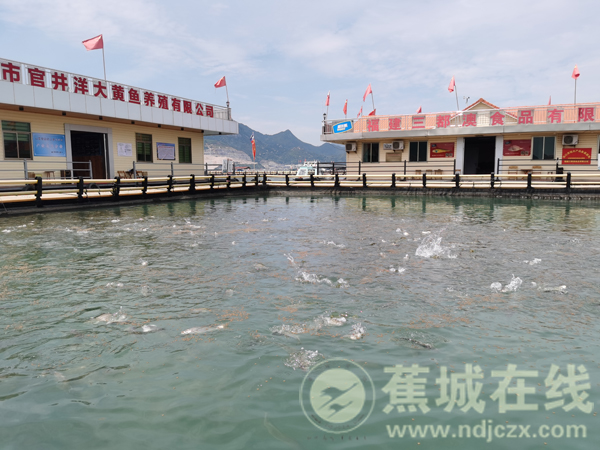 轉角服裝時尚店舒城（轉角女裝店裝修效果圖）