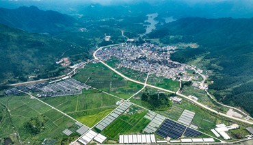 拓宽特色增收路 稻果溢香产业兴——蕉城区农业产业发展侧记