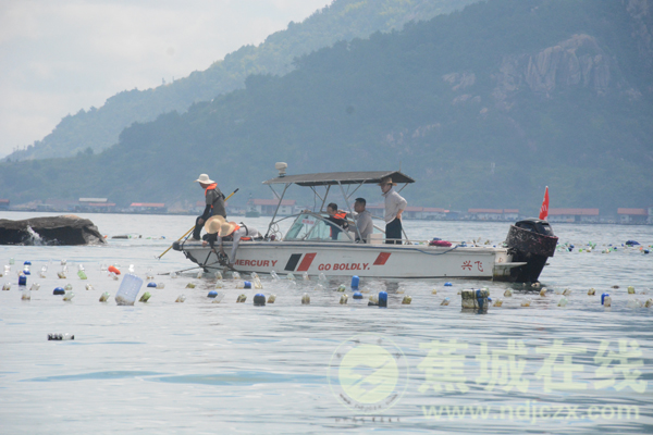 “清海”有力度 护海不止步