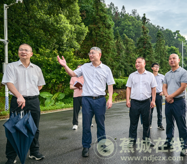 区领导开展道路公路养护情况调研