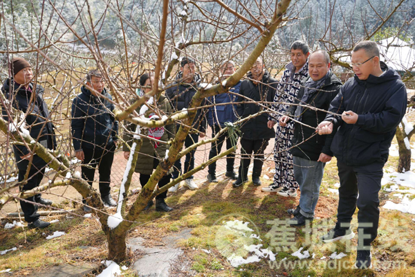 农技专家走进田间地头 助农应对寒潮降温