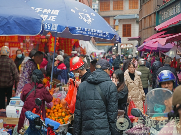 寻蕉城年味 这条街最浓