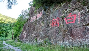 白鹤岭古道：石阶刻山海 茶担通重洋
