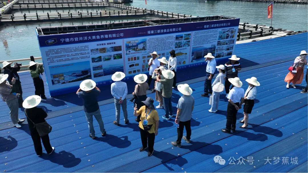 海外华文媒体探访宁德“电池王国”与“海上粮仓”→