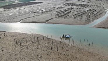 来八都邂逅一场“古韵与海味”的浪漫之旅