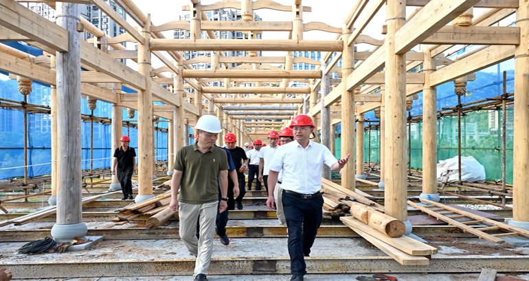 区领导赴乡镇(街道)开展“四下基层”暨重点项目调研活动