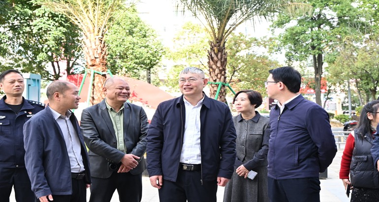 区领导开展创城督导调研