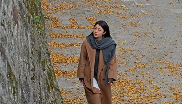 银杏染初冬“金黄”醉时光