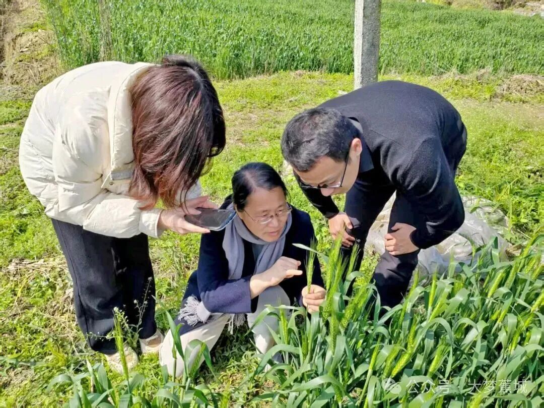 聚焦两会·委员风采 | 周如昭：脚下沾泥土 履职为“三农”
