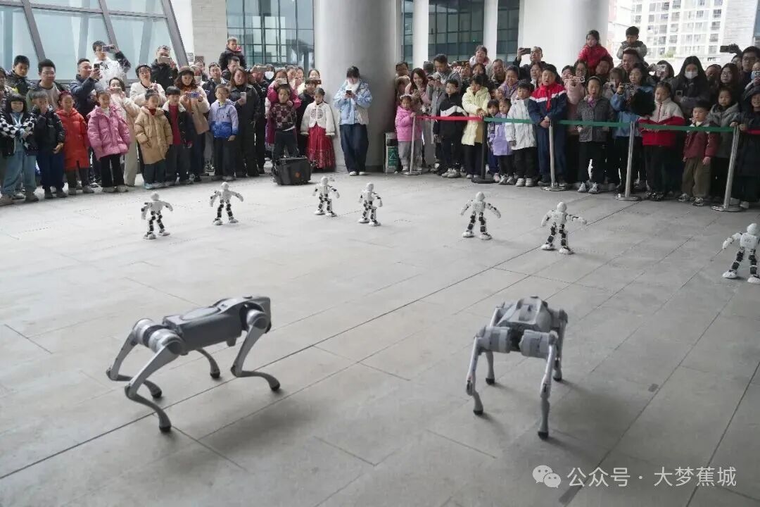 看表演 玩VR 做手工！宁德科技馆太“有料”啦~