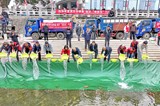 乡村振兴正当时|603万尾香鱼苗游入霍童溪