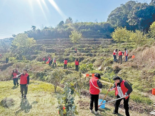 不负春光 为“宁”充“植”