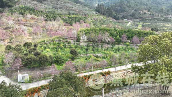 八都藏着最治愈的春日烟火