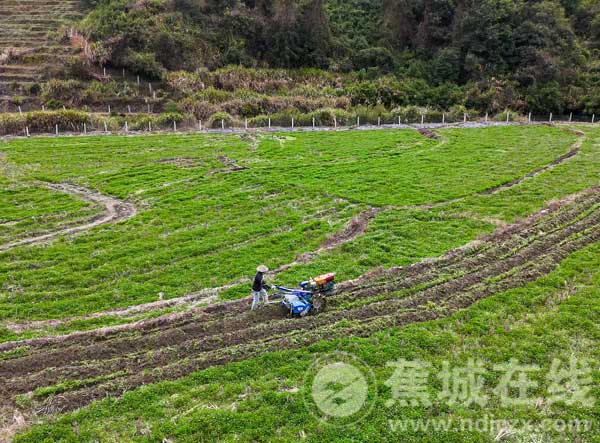 金涵畲族乡备耕生产有序推进