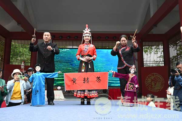 以黄精为媒 解锁“畲药+文旅”乡村振兴密码