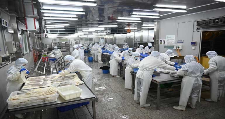 海洋经济起新势 蕉城水产 “开门红”