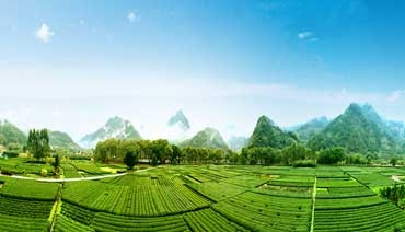 茶脉宁德——天山茶与宁德历史文化名城的千年共生