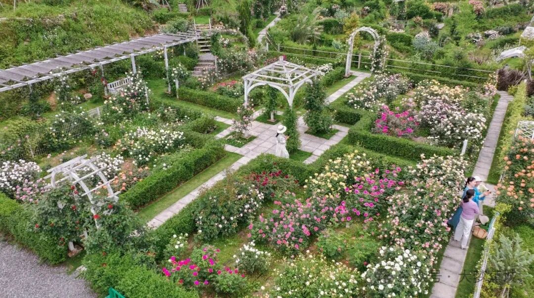 避开人海！蕉城这座低调的乡村花园，“五一”去正好！