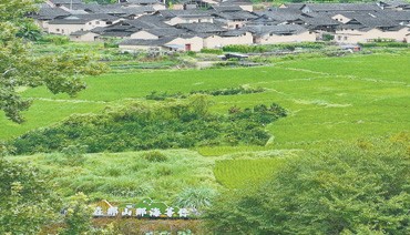八都洋头村：溪风入夏 古村焕彩