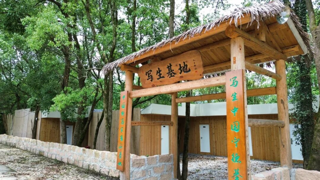 写生新据点！湖头村林间营地即将启用