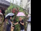 风雨砺担当！蕉城上演“速度与温情”→