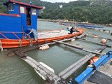 三都镇陆海联动 推进人居环境全域整治