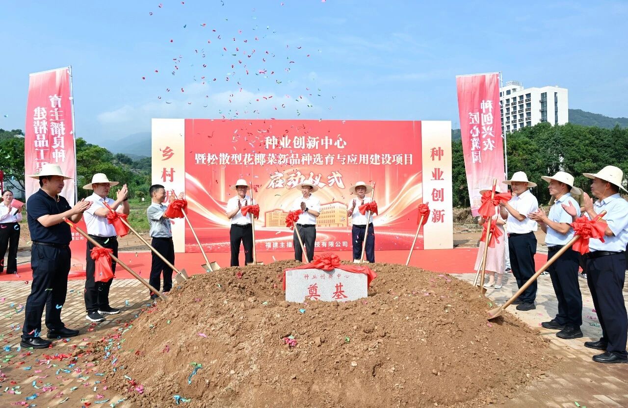 金秋启新程！蕉城启动花椰菜品种选育与应用建设项目→
