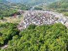 山海蕉城 乐享国庆 | 假期最后一天，去山野田园“森呼吸” →